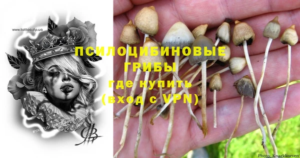 гидропоника Алексеевка