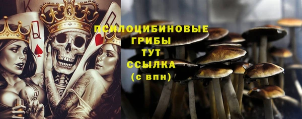 mdpv Алексин
